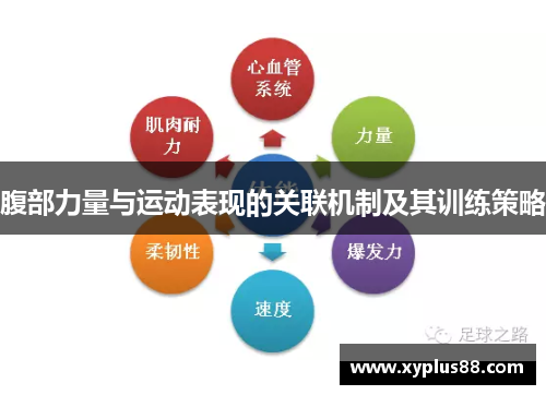 腹部力量与运动表现的关联机制及其训练策略