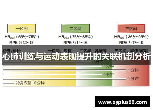 心肺训练与运动表现提升的关联机制分析