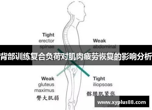 背部训练复合负荷对肌肉疲劳恢复的影响分析